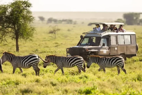 12-DAY UGANDA–KENYA SAFARI FROM ENTEBBE