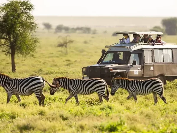 12-DAY UGANDA–KENYA SAFARI FROM ENTEBBE