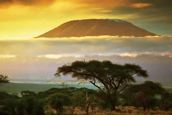 3 DAYS AMBOSELI SAFARI – AT THE FOOT OF MOUNT KILIMANJARO