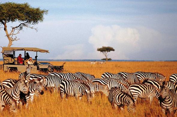 Tanzania - Unforgettable Wild, Beauty