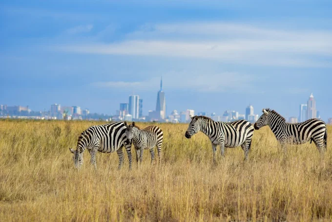 Kenya - The Heartbeat Of Africa